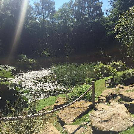 Burrswood Health And Wellbeing Ξενοδοχείο Royal Tunbridge Wells Εξωτερικό φωτογραφία