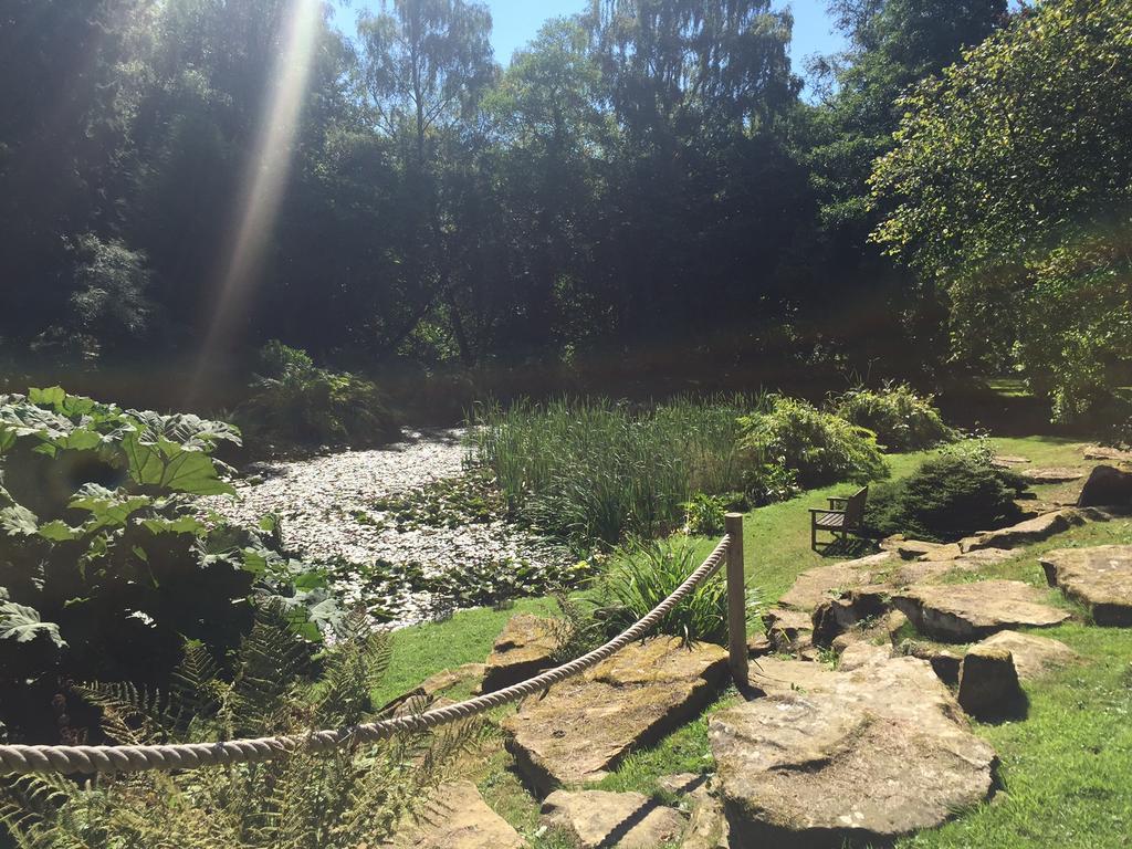 Burrswood Health And Wellbeing Ξενοδοχείο Royal Tunbridge Wells Εξωτερικό φωτογραφία